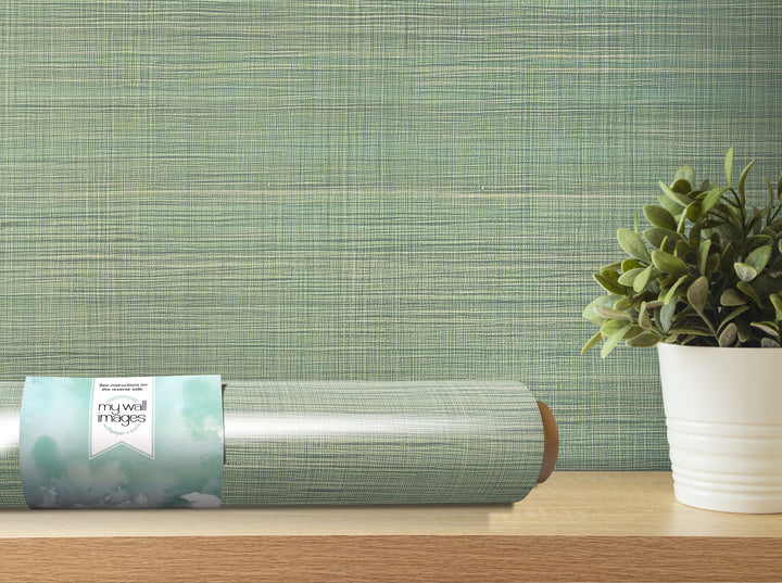 a roll of wallpaper with a label, a potted plant, and a wooden shelf against a textured green background.