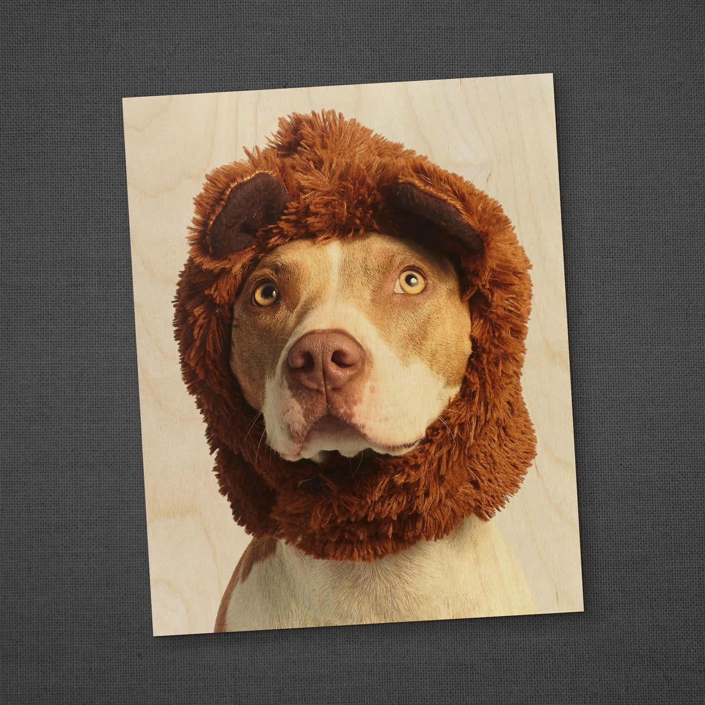 Pet Photo Wood Print MWw0030pet