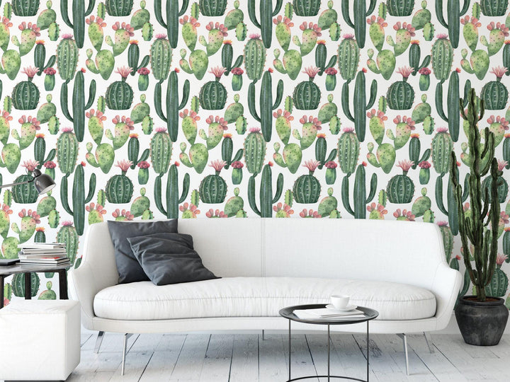 Cacti and Succulents Wallpaper MW1565sm