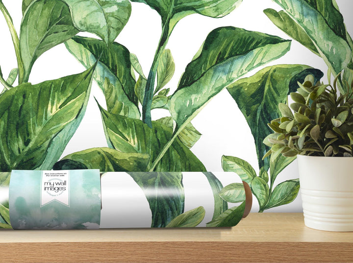 a painting of a green plant on a shelf