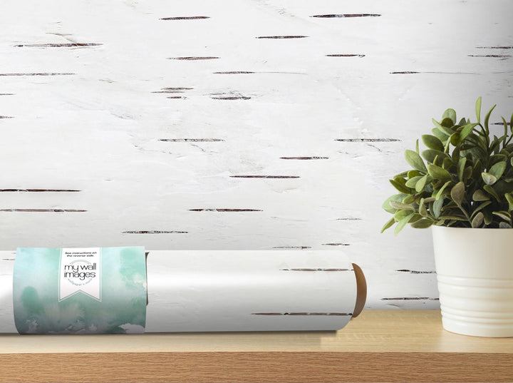 a potted plant sitting on top of a wooden table