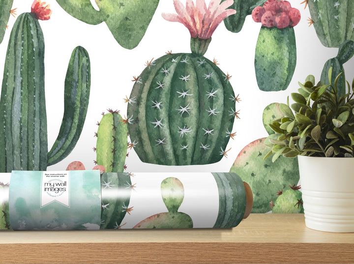 a wallpaper with a cactus and succulents on it