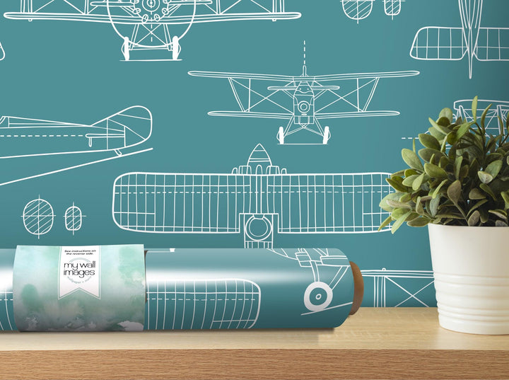 a blueprinted wall with a plane and a potted plant
