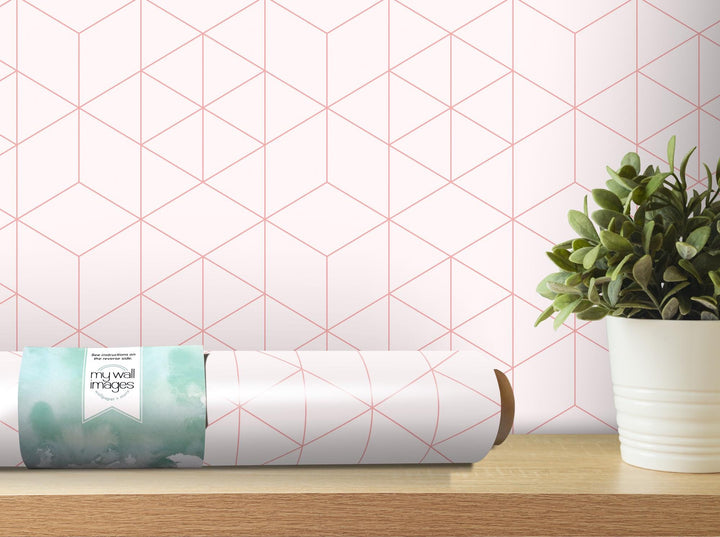 a potted plant sitting on top of a wooden table