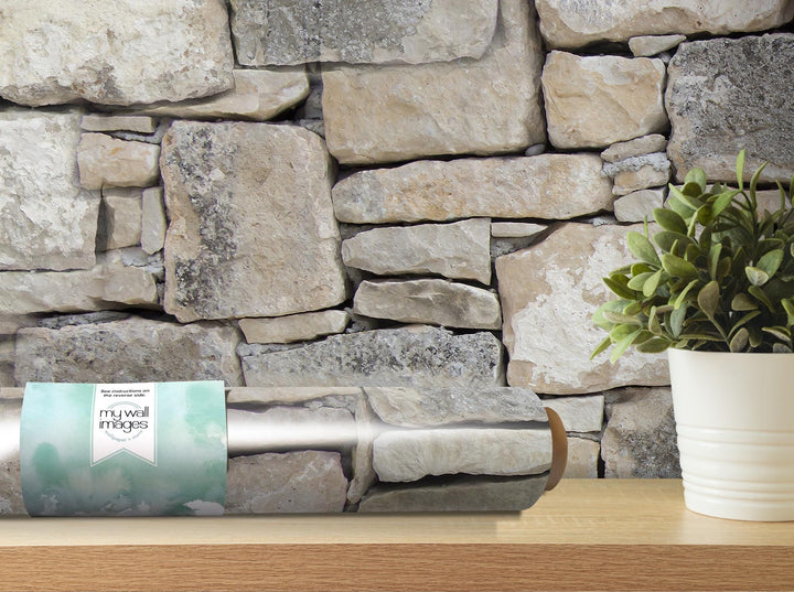a potted plant sitting next to a stone wall