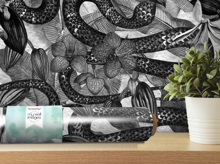 a black and white photo of a plant and a book on a shelf