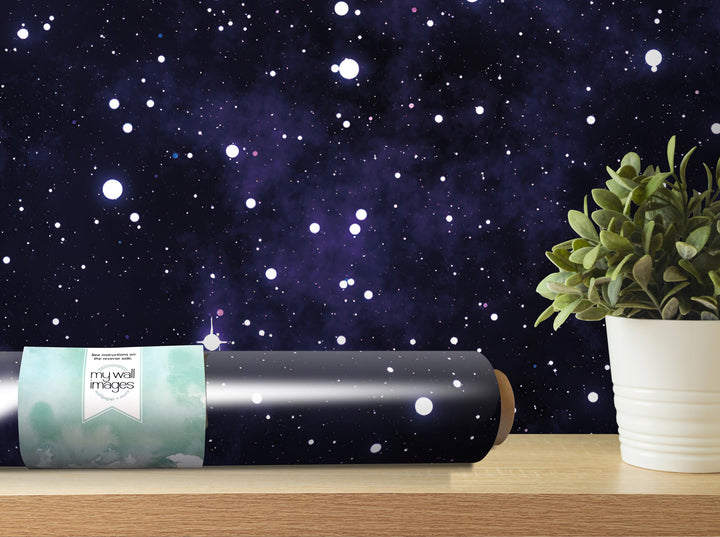 a black roller with a starry night sky wallpaper behind it, and a potted plant to the right of the roller.