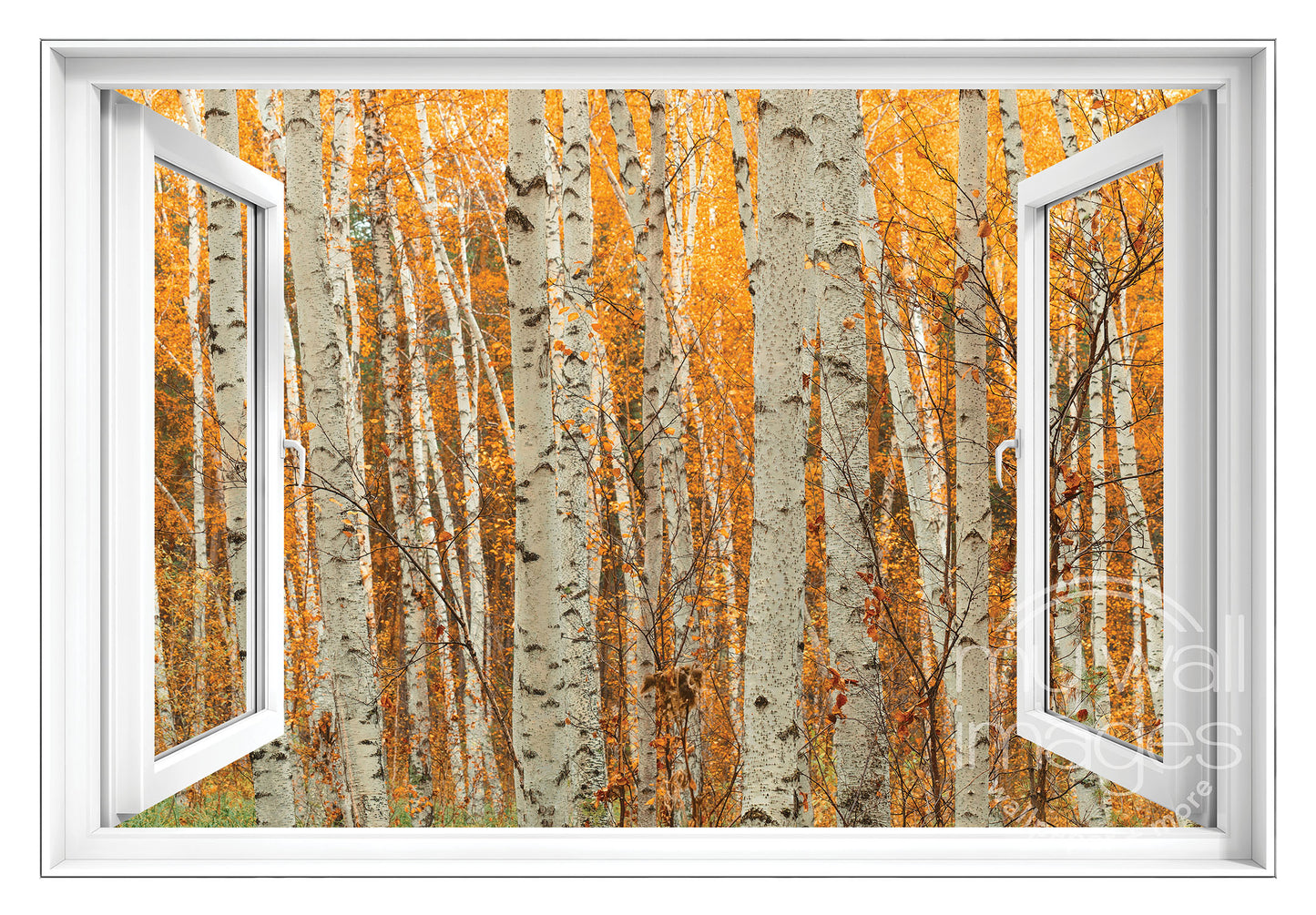 a serene forest scene with tall, thin trees displaying vibrant orange leaves, creating a beautiful autumnal atmosphere.