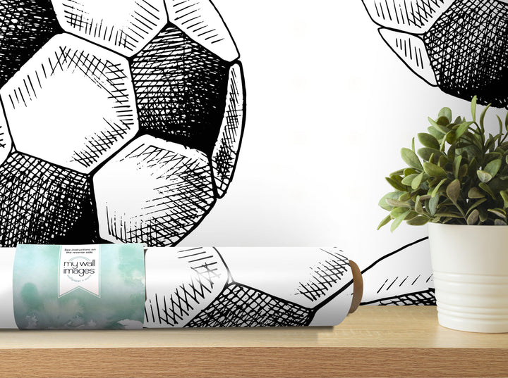 a soccer ball on a shelf, with a potted plant to the right and a roll of wallpaper or poster in the foreground.