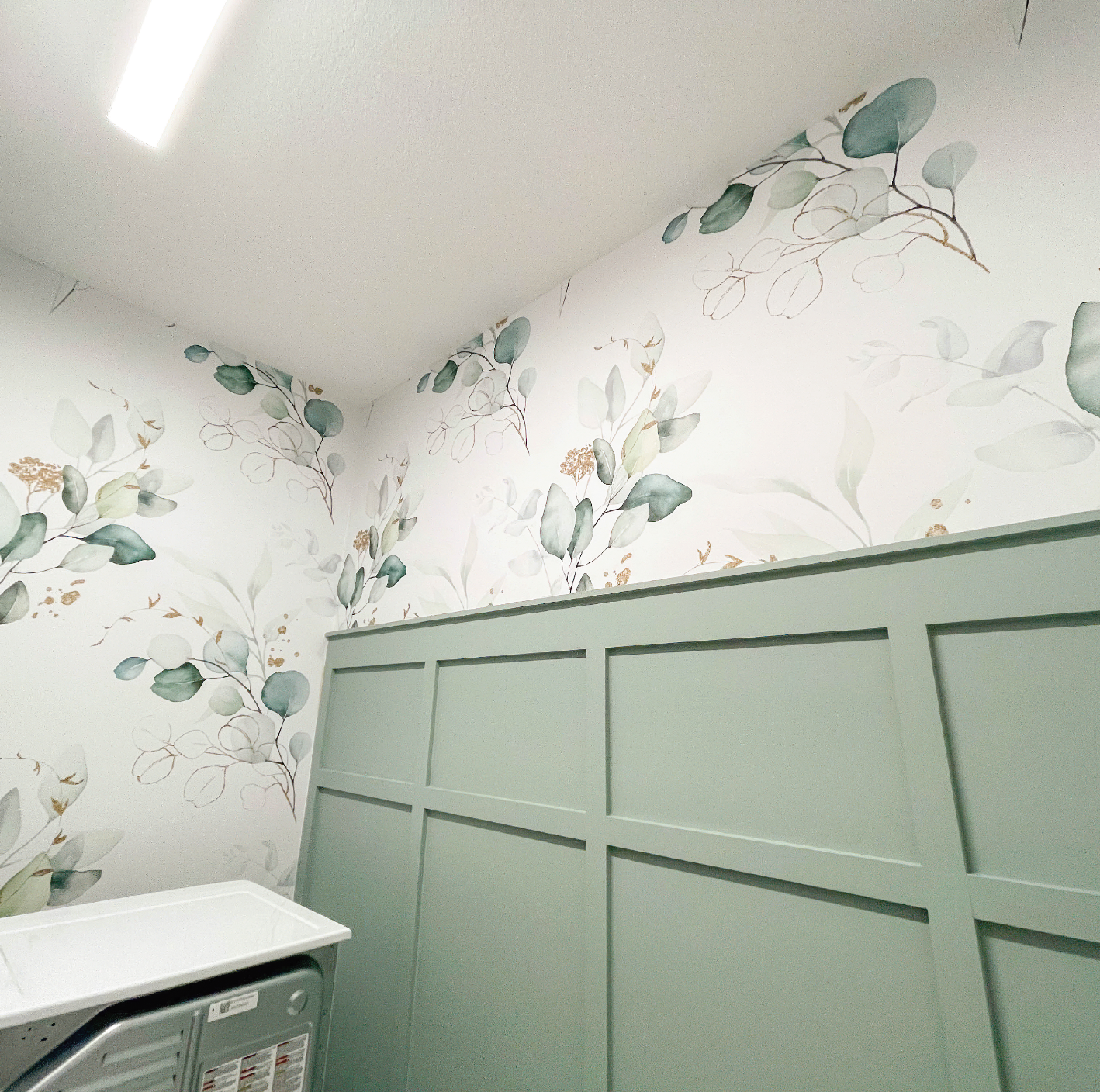 Green & Gold Eucalyptus