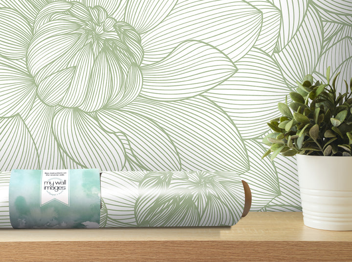 a wallpapered wall with a large green flower design, a roll of wallpaper, and a potted plant on a shelf.