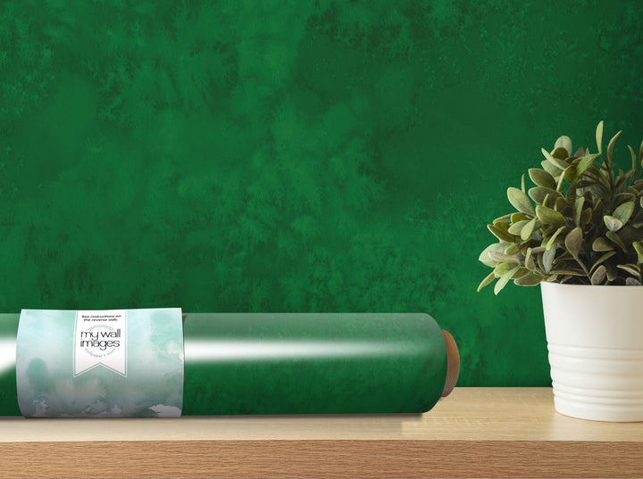 a potted plant sitting on top of a wooden table