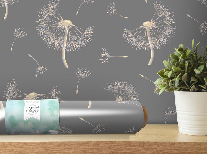 a gray wall with a repeating pattern of dandelion-like designs in white and beige, along with a potted plant and a roll of wallpaper on a wooden shelf.